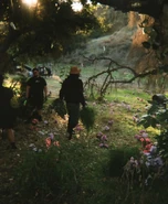 Rare (3).jpg (249 KB)