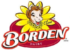 Borden milk