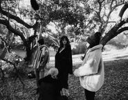 80134575 2764167890314887 7420896106890217735 n.jpg (487 KB)