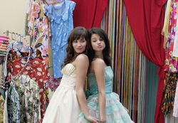 Princess Protection Program - Wikiwand