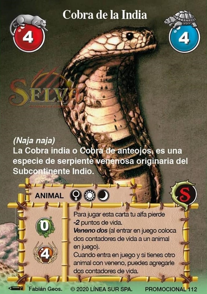 Cobra de la India | Wiki Selva | Fandom