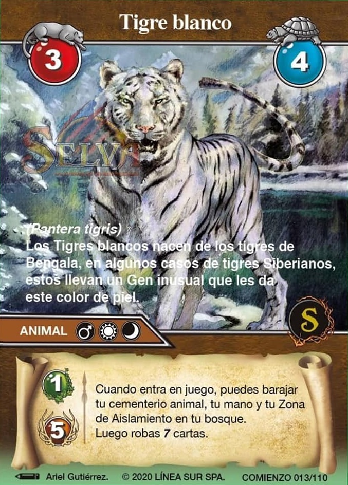 Imagem relacionada  Imagenes de tigres, Tigre blanco, Fotos de