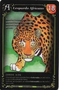 Leopardo Africano Alfa.jpg (308 kB) 2017 - Alfa