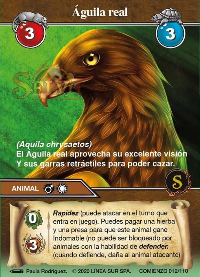 Águila Real | Wiki Selva | Fandom