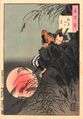 Hideyoshi Toyotomi (youth).jpg (52 KB) 100 Aspects of the Moon No. 6, by Yoshitoshi Tsukioka: "Mount Inaba Moon." The young Hideyoshi leads a small group assaulting the castle on Mount Inaba.