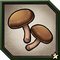 Kusanagi Shroom.png