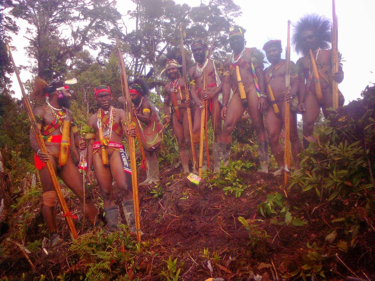 Остров Папуа священный лес