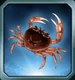 XDU Crab