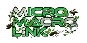 MICRO MACRO LiNK Logo