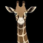 Giraffe (32 KB) Giraffe
