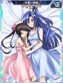 Symphogear XDU Card 290