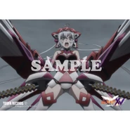 Chris XV Promotion Bromide