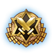 XDU Gold Arena Medal