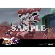 Chris XV Promotion Bromide