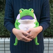 Prelati Frog Plush Merchandise 4