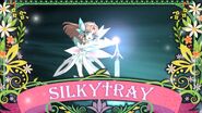 SILKY†RAY