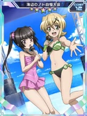 Symphogear XDU Card 2522