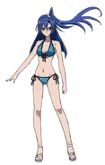 Tsubasa's swimsuit.
