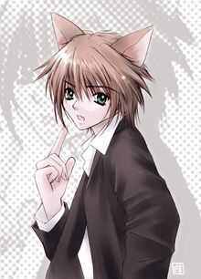 Neko-boy-anime-animal-guys-3835825-359-500