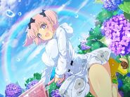 Hibari - New Link 13