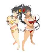 Asuka and Homura 10th Anniversary Bikinis