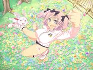 Hibari - New Link 09