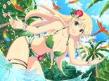 Katsuragi - New Link 17