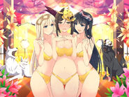 Senran.Kagura.full.2353887