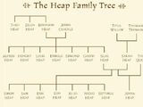 Heap family