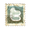 The Septimus Heap Official Twitter