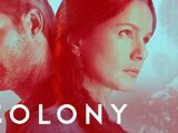 Colony