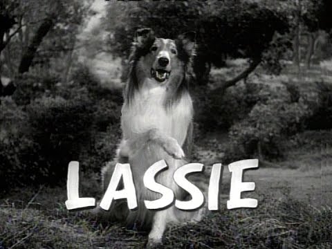 Lassie, Heroes Wiki