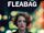 Fleabag