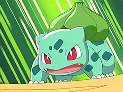 Ash Bulbasaur