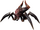 Hatchling Antaresian Spider