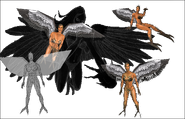 Witch-Harpy concept 2