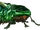 Beetle (SS:DD)