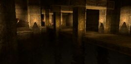 Sewers