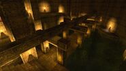 The sewers.