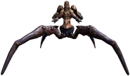 Model.