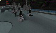 Snowandicearena (3)