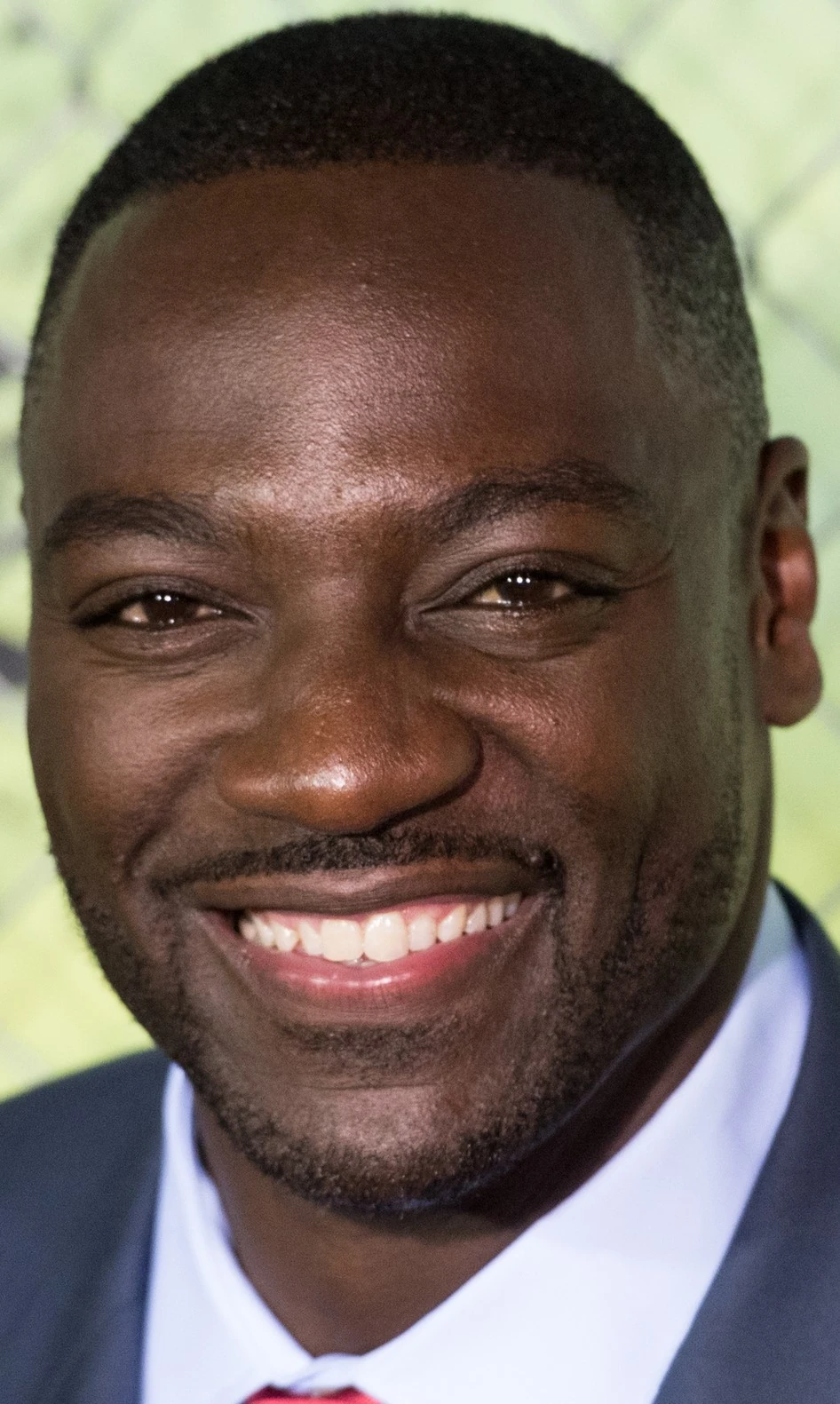 Scarlet Champion | Shockwave Extended Universe Wiki | Fandom