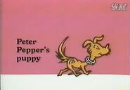 Peter Pepper's Puppy