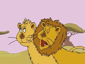 A male lion roaring with a lioness by his side