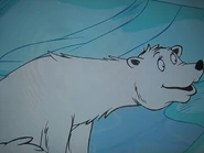 Polly the Polar Bear