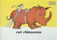 Red Rhinoceros