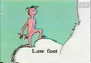 Low foot image