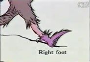 Right foot 