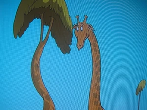 Treetop Tom the giraffe