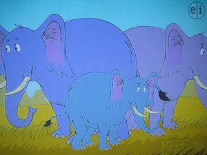 Themba's sisters (The biggest one must be the leader of the herd)